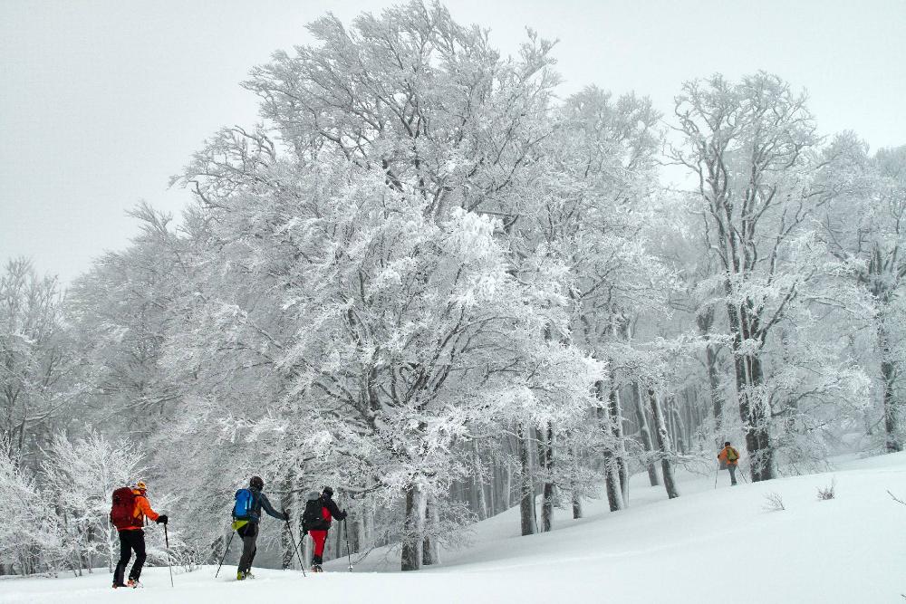 Group practicing snowshoes